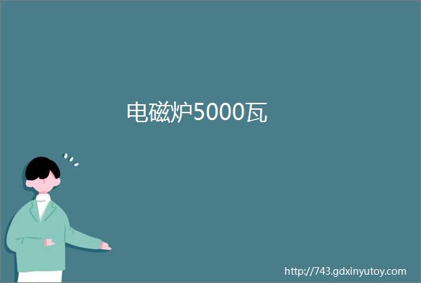 电磁炉5000瓦